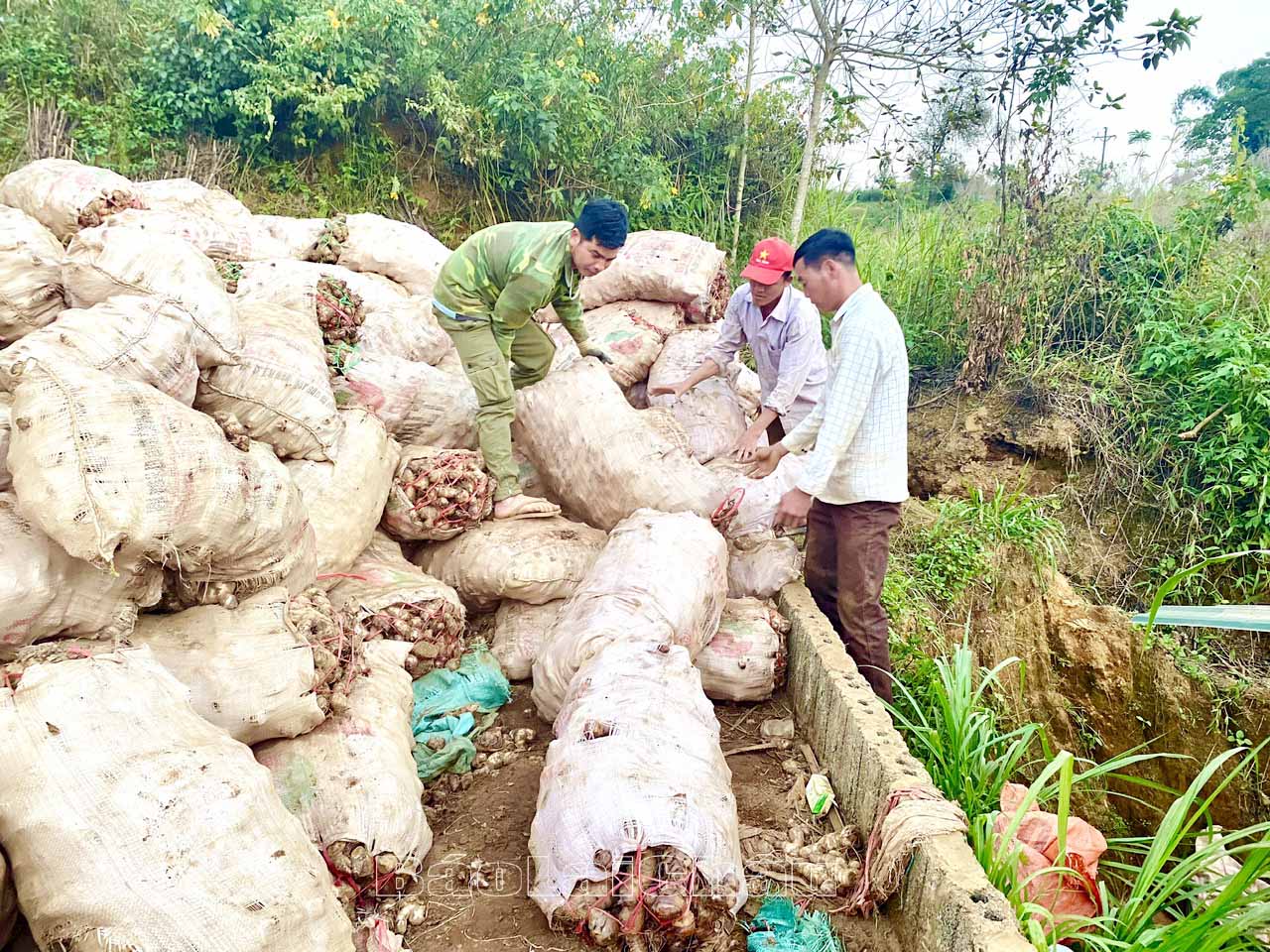 Người dân xã Lản Nhì Thàng hăng hái lao động sản xuất, nâng cao thu nhập cải thiện chất lượng cuộc sống.